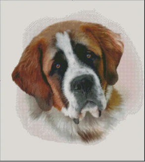 Saint Bernard